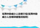 炫舞中助威小人在哪介紹(炫舞中助威小人在哪詳細(xì)情況如何)