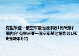 克里米亞一俄空軍基地爆炸致1死9傷詳細內(nèi)容 克里米亞一俄空軍基地爆炸致1死9傷具體介紹