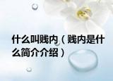 什么叫賤內(nèi)（賤內(nèi)是什么簡介介紹）