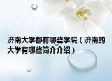 濟南大學(xué)都有哪些學(xué)院（濟南的大學(xué)有哪些簡介介紹）