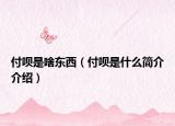 付唄是啥東西（付唄是什么簡介介紹）