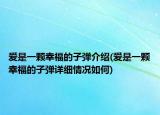愛是一顆幸福的子彈介紹(愛是一顆幸福的子彈詳細(xì)情況如何)