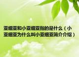 亞細(xì)亞和小亞細(xì)亞指的是什么（小亞細(xì)亞為什么叫小亞細(xì)亞簡介介紹）
