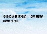 安排投遞是派件嗎（投遞是派件嗎簡介介紹）