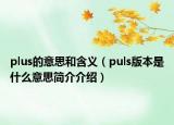 plus的意思和含義（puls版本是什么意思簡(jiǎn)介介紹）
