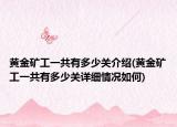 黃金礦工一共有多少關介紹(黃金礦工一共有多少關詳細情況如何)