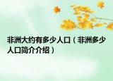 非洲大約有多少人口（非洲多少人口簡(jiǎn)介介紹）