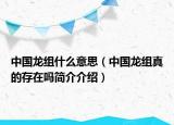 中國(guó)龍組什么意思（中國(guó)龍組真的存在嗎簡(jiǎn)介介紹）