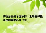 種植牙是哪個國家的（士卓曼種植體是哪國的簡介介紹）