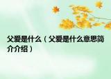 父愛是什么（父愛是什么意思簡介介紹）