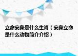 立命安身是什么生肖（安身立命是什么動物簡介介紹）
