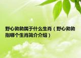 野心勃勃屬于什么生肖（野心勃勃指哪個生肖簡介介紹）