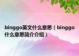 binggo英文什么意思（binggo什么意思簡介介紹）