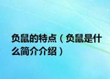 負(fù)鼠的特點(diǎn)（負(fù)鼠是什么簡(jiǎn)介介紹）