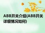 ABB開關(guān)介紹(ABB開關(guān)詳細情況如何)