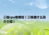 三核cpu有哪些（三核是什么簡介介紹）