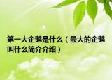 第一大企鵝是什么（最大的企鵝叫什么簡(jiǎn)介介紹）