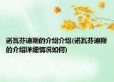 諾瓦芬迪斯的介紹介紹(諾瓦芬迪斯的介紹詳細(xì)情況如何)