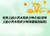 世界上的小喬木有多少種介紹(世界上的小喬木有多少種詳細情況如何)