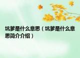 坑爹是什么意思（坑爹是什么意思簡介介紹）