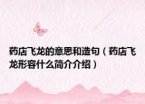 藥店飛龍的意思和造句（藥店飛龍形容什么簡(jiǎn)介介紹）