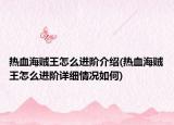 熱血海賊王怎么進(jìn)階介紹(熱血海賊王怎么進(jìn)階詳細(xì)情況如何)