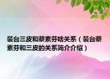 裝臺(tái)三皮和蔡素芬啥關(guān)系（裝臺(tái)蔡素芬和三皮的關(guān)系簡(jiǎn)介介紹）