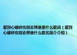 愛到心破碎也別去怪誰是什么歌詞（愛到心破碎也別去怪誰什么歌名簡介介紹）