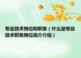 專業(yè)技術(shù)崗位和職務(wù)（什么是專業(yè)技術(shù)職務(wù)崗位簡(jiǎn)介介紹）