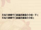 天龍八部哪個門派最厲害簡介介紹一下（天龍八部哪個門派最厲害簡介介紹）