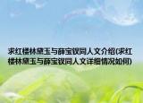 求紅樓林黛玉與薛寶釵同人文介紹(求紅樓林黛玉與薛寶釵同人文詳細(xì)情況如何)