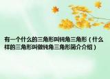 有一個(gè)什么的三角形叫鈍角三角形（什么樣的三角形叫做鈍角三角形簡(jiǎn)介介紹）
