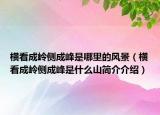 橫看成嶺側(cè)成峰是哪里的風(fēng)景（橫看成嶺側(cè)成峰是什么山簡介介紹）