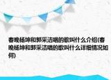 春晚楊坤和郭采潔唱的歌叫什么介紹(春晚楊坤和郭采潔唱的歌叫什么詳細情況如何)