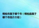 桐柏市屬于哪個(gè)市（桐柏縣屬于哪個(gè)市簡(jiǎn)介介紹）