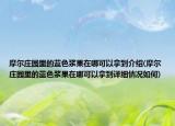 摩爾莊園里的藍(lán)色漿果在哪可以拿到介紹(摩爾莊園里的藍(lán)色漿果在哪可以拿到詳細(xì)情況如何)