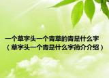 一個草字頭一個青草的青是什么字（草字頭一個青是什么字簡介介紹）