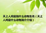 天上人間是指什么動(dòng)物生肖（天上人間是什么動(dòng)物簡(jiǎn)介介紹）