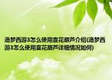 造夢西游3怎么使用宣花葫蘆介紹(造夢西游3怎么使用宣花葫蘆詳細情況如何)