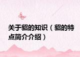關(guān)于貂的知識（貂的特點(diǎn)簡介介紹）