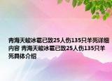 青海天峻冰雹已致25人傷135只羊死詳細內(nèi)容 青海天峻冰雹已致25人傷135只羊死具體介紹