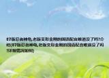87版忍者神龜,老版變形金剛的國(guó)語(yǔ)配音難道沒(méi)了嗎?介紹(87版忍者神龜,老版變形金剛的國(guó)語(yǔ)配音難道沒(méi)了嗎?詳細(xì)情況如何)