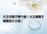 大王村屬于哪個鎮(zhèn)（大王鎮(zhèn)屬于哪里簡介介紹）