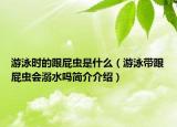 游泳時(shí)的跟屁蟲是什么（游泳帶跟屁蟲會(huì)溺水嗎簡(jiǎn)介介紹）