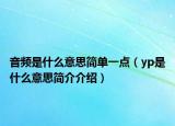 音頻是什么意思簡單一點(diǎn)（yp是什么意思簡介介紹）