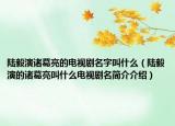 陸毅演諸葛亮的電視劇名字叫什么（陸毅演的諸葛亮叫什么電視劇名簡(jiǎn)介介紹）