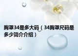 胸罩34是多大碼（34胸罩尺碼是多少簡介介紹）
