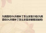 九陰真經(jīng)OL升級補丁怎么安裝介紹(九陰真經(jīng)OL升級補丁怎么安裝詳細情況如何)