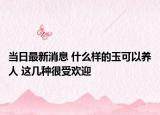 當日最新消息 什么樣的玉可以養(yǎng)人 這幾種很受歡迎