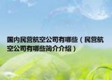 國內(nèi)民營航空公司有哪些（民營航空公司有哪些簡介介紹）